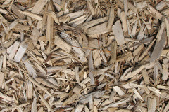 biomass boilers Cademuir